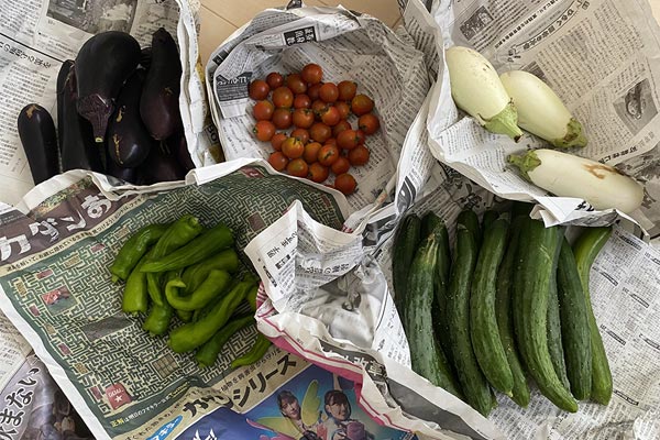 産直ネット通販アプリ“食べチョク ”は生産者から有機野菜など新鮮食材が手に入る！ 自炊派におすすめな理由